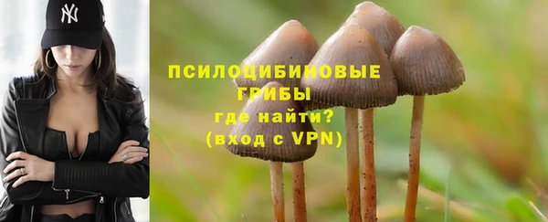 2c-b Абаза