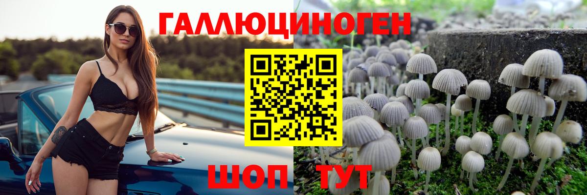 Галлюциногенные грибы ЛСД Искитим